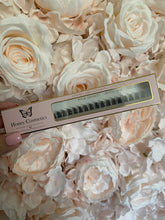 Load image into Gallery viewer, MIDNIGHT | 10, 12 & 14 mm 🌌