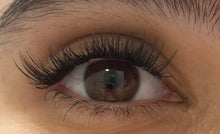 Load image into Gallery viewer, MIDNIGHT | 10, 12 & 14 mm 🌌